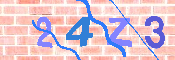 CAPTCHA 驗證圖片