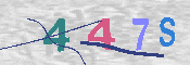 CAPTCHA 驗證圖片
