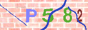 CAPTCHA 驗證圖片