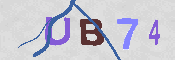 CAPTCHA 驗證圖片
