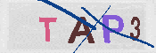 CAPTCHA 驗證圖片
